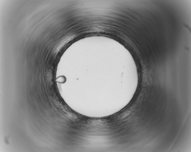 X0000103490826200810101020