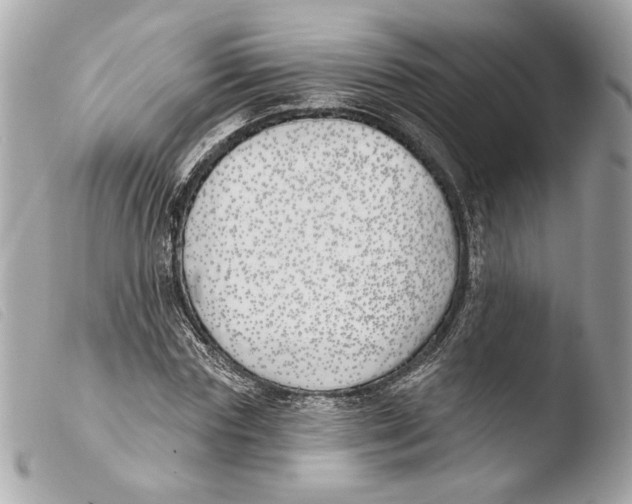 X0000103490827200810101020