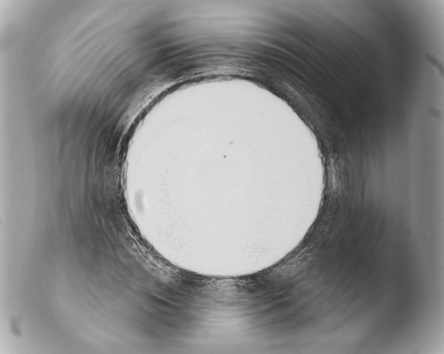 X0000103490828200810101020