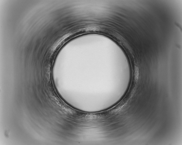 X0000103490829200810101020