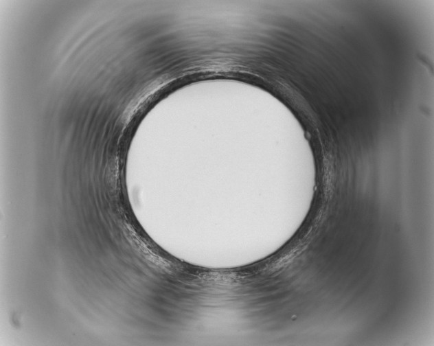 X0000103490831200810101020