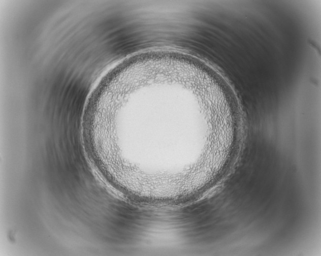 X0000103490832200810101020