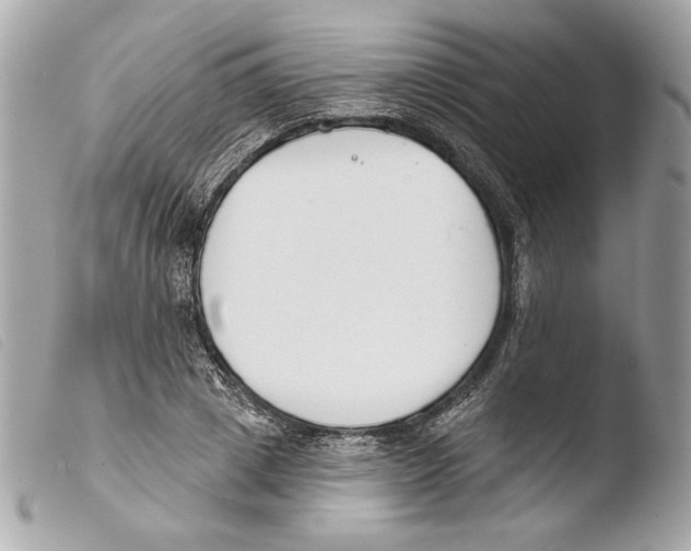X0000103490833200810101020
