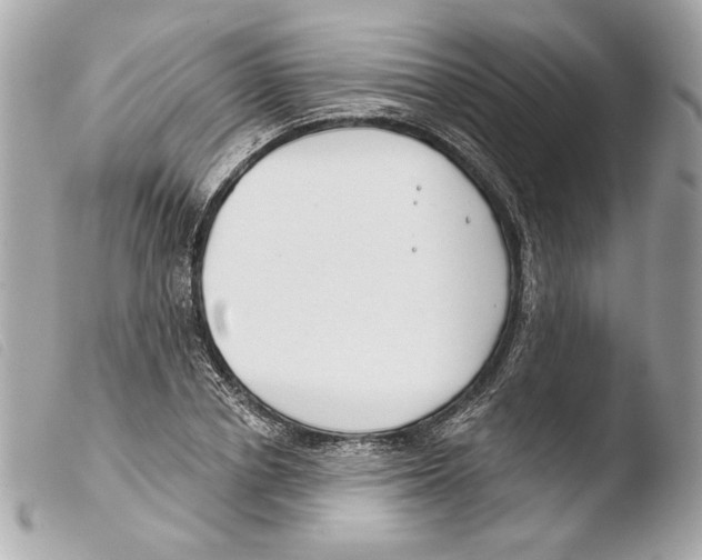 X0000103490834200810101020