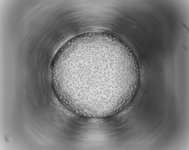 X0000103490835200810101020