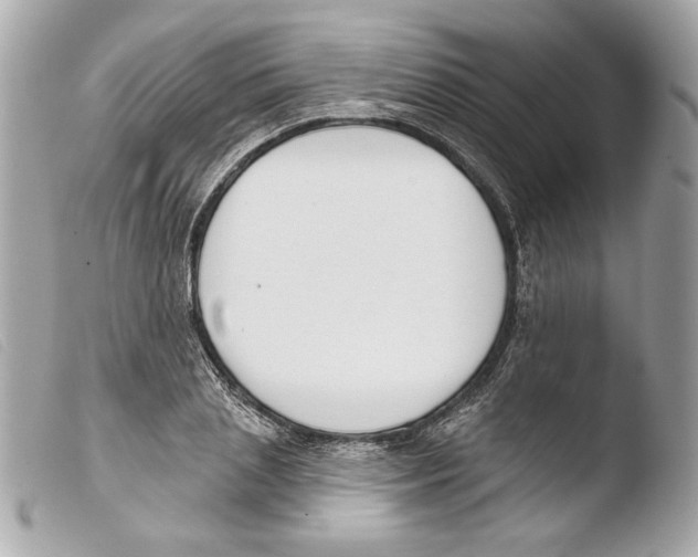 X0000103490837200810101020