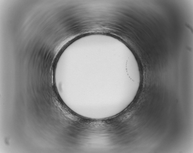 X0000103490838200810101020