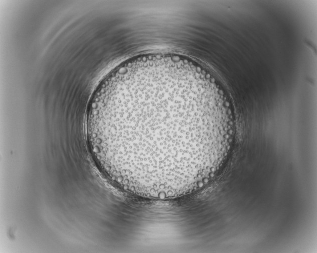 X0000103490839200810101020