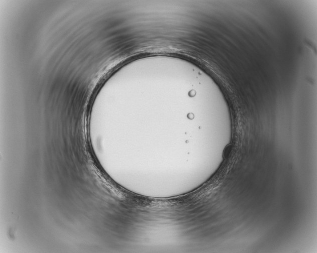 X0000103490840200810101020
