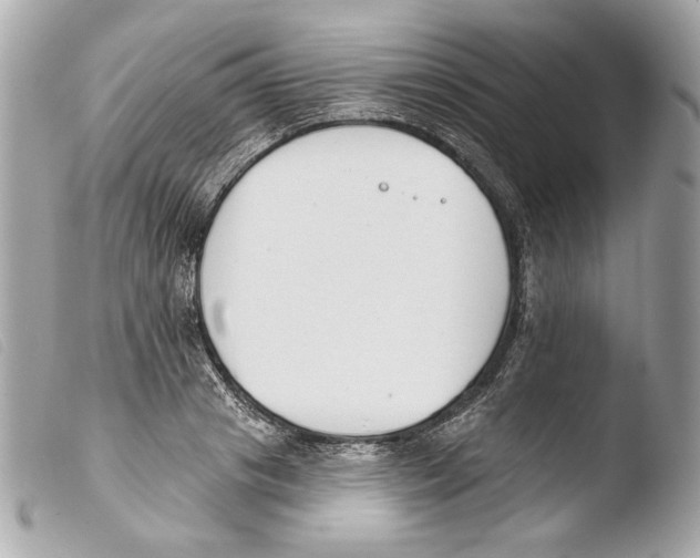 X0000103490841200810101020