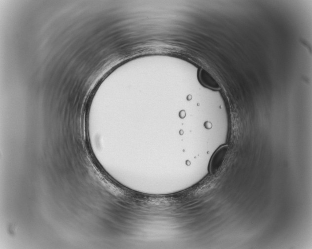 X0000103490843200810101020