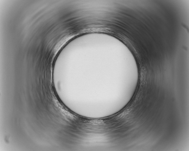 X0000103490844200810101020