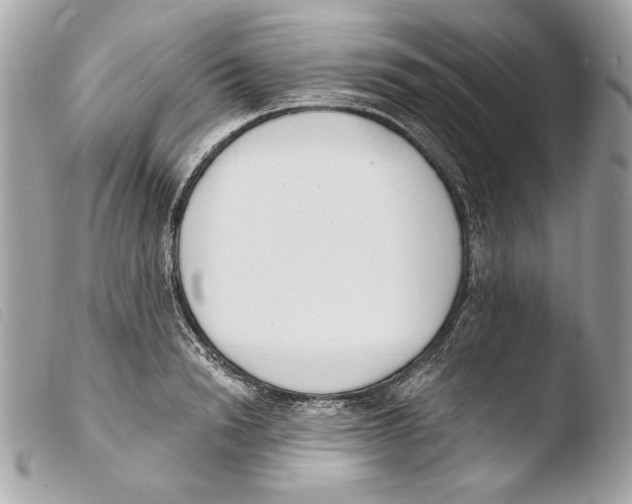 X0000103490846200810101020