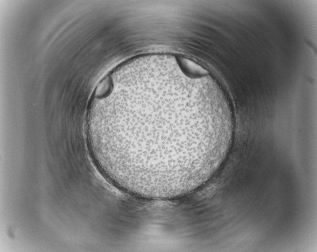 X0000103490847200810101021