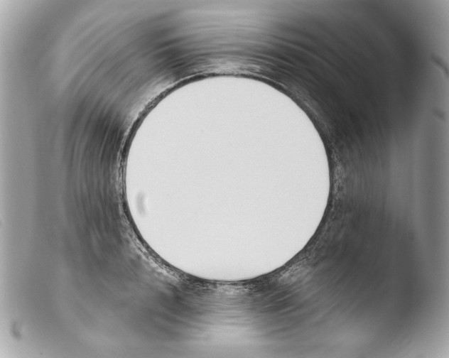 X0000103490848200810101021