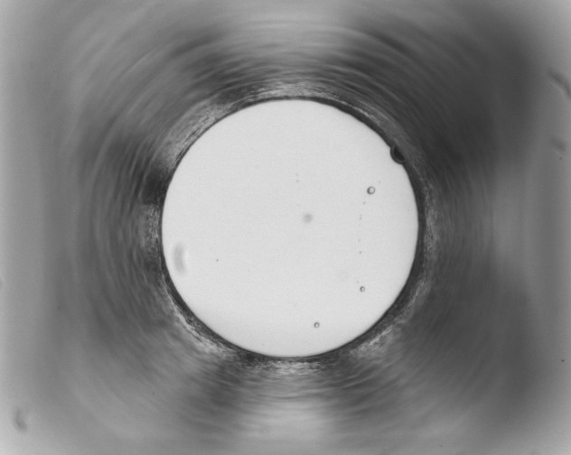 X0000103490849200810101021