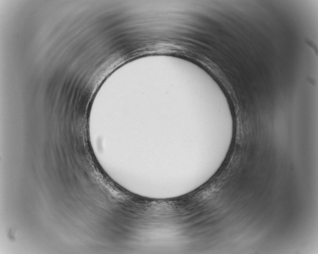 X0000103490850200810101021