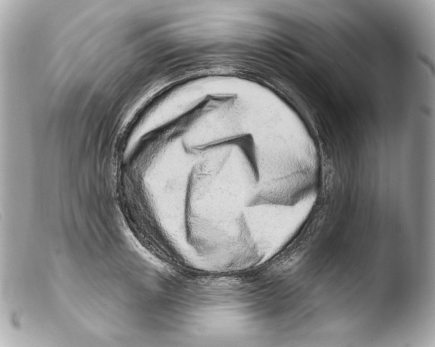 X0000103490851200810101021
