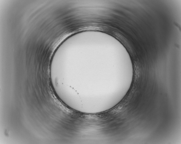 X0000103490852200810101021