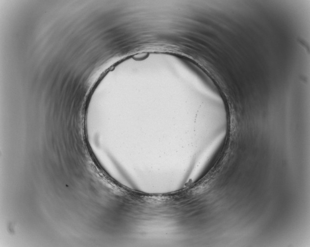 X0000103490854200810101021