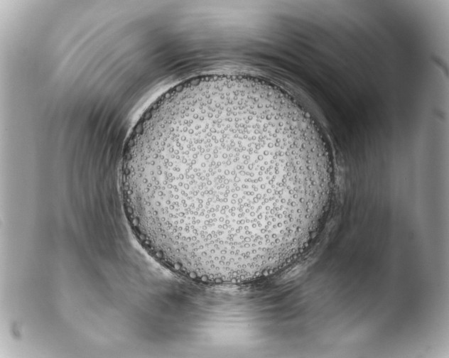 X0000103490855200810101021
