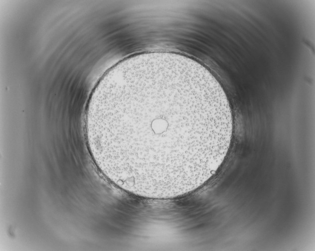 X0000103490856200810101021