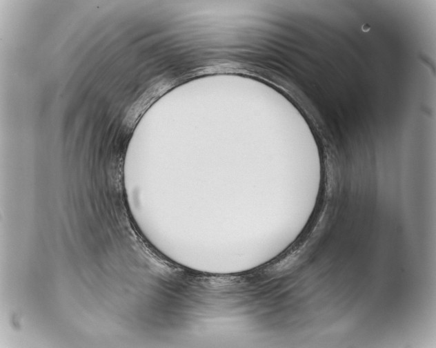 X0000103490857200810101021