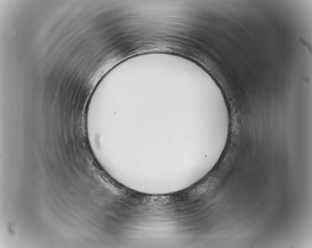 X0000103490858200810101021