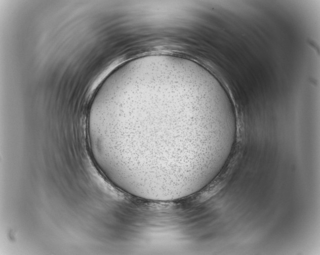X0000103490859200810101021