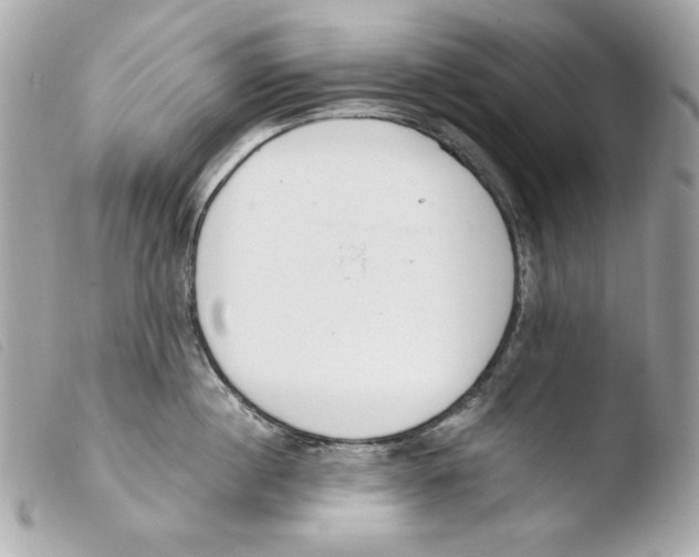 X0000103490860200810101021