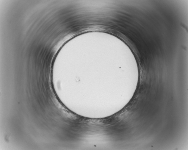 X0000103490861200810101021