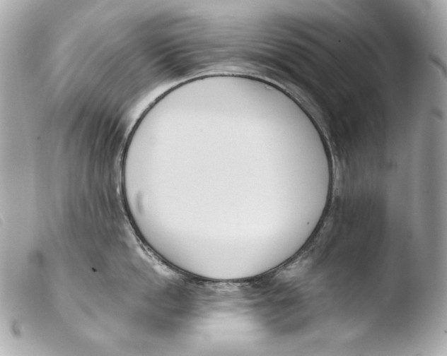 X0000103490862200810101021