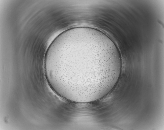 X0000103490863200810101021