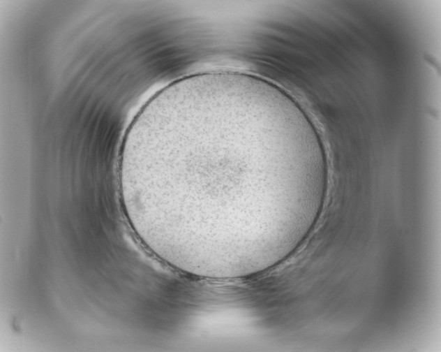 X0000103490864200810101021