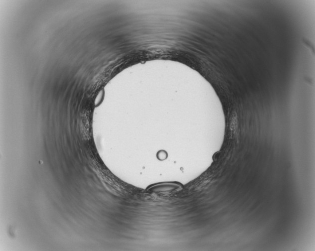 X0000103490868200810101020