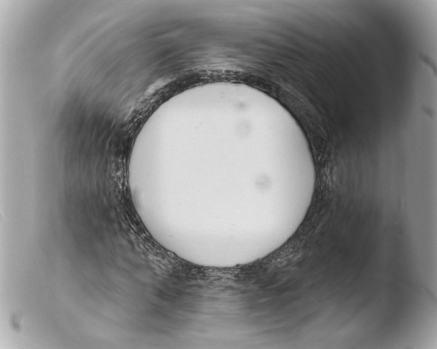 X0000103490870200810101020