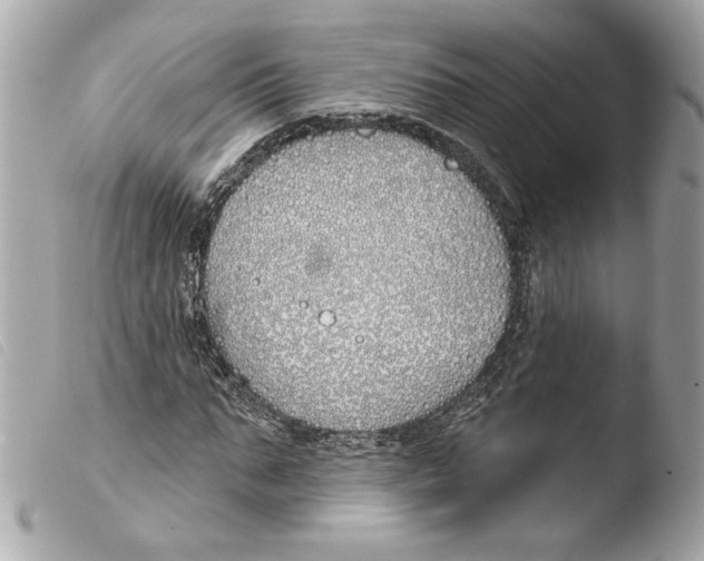 X0000103490871200810101020
