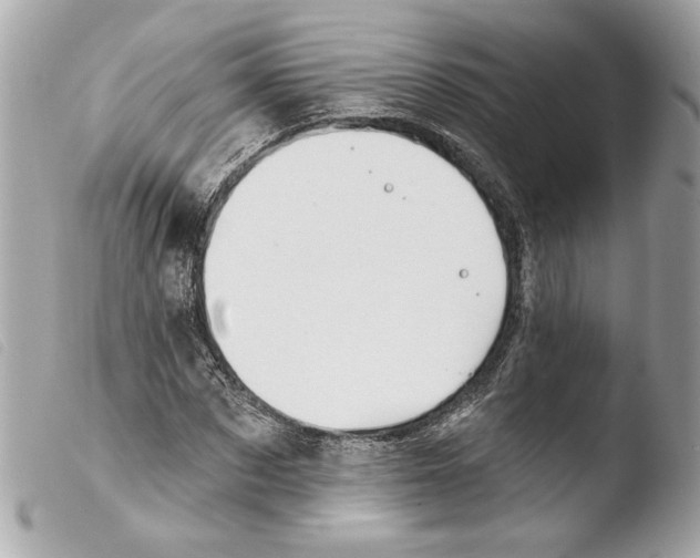 X0000103490873200810101020
