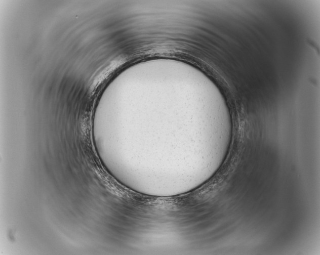 X0000103490874200810101020