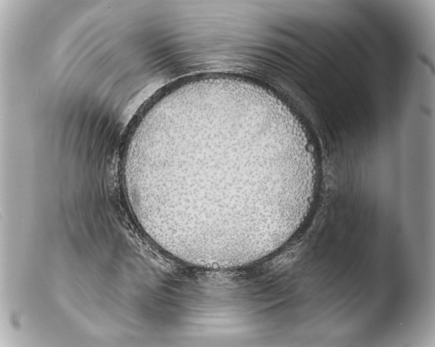 X0000103490875200810101020