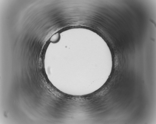 X0000103490876200810101020