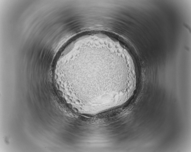X0000103490879200810101020