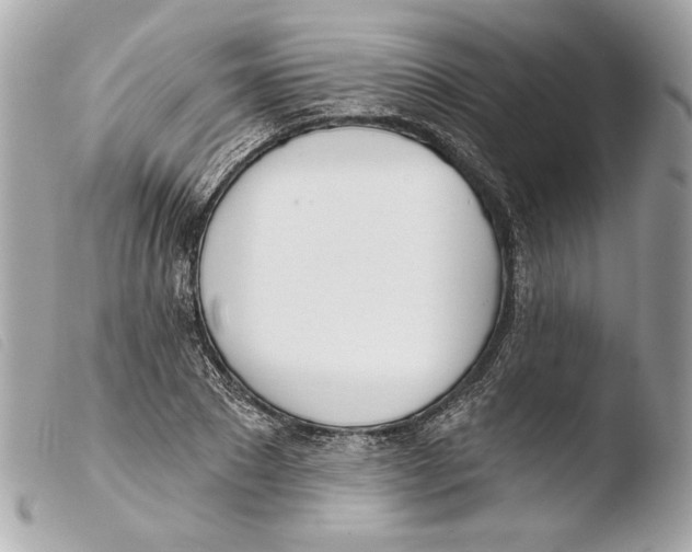 X0000103490881200810101020