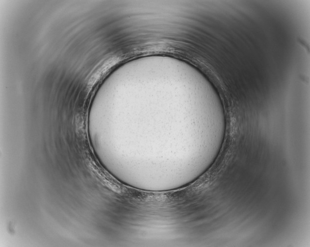 X0000103490882200810101020