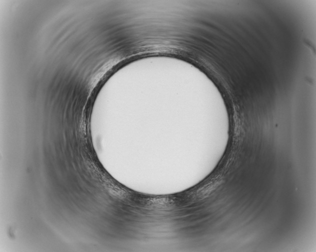 X0000103490883200810101020