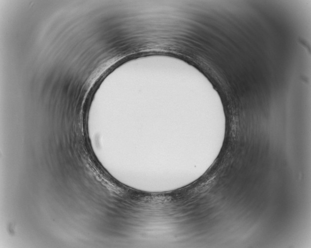 X0000103490884200810101020