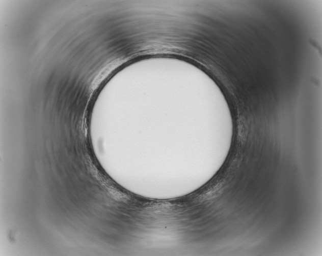 X0000103490885200810101020