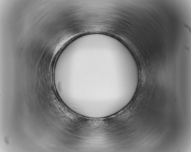 X0000103490886200810101020