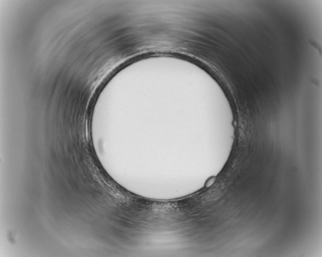 X0000103490887200810101020