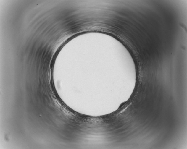 X0000103490888200810101020